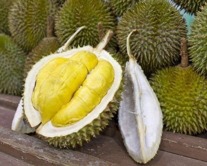 fakta menarik yang ada di durian musang king