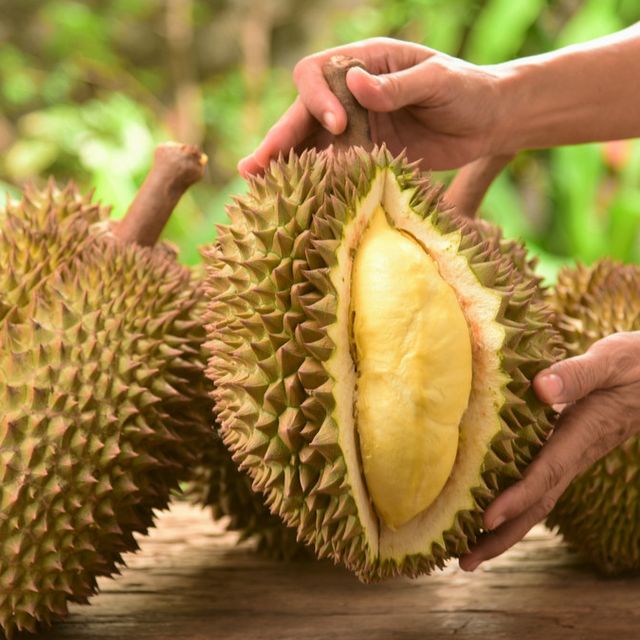 mitos seputar buah durian