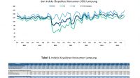 Optimisme Konsumen Terhadap Perekonomian Lampung pada Desember 2024 Meningkat