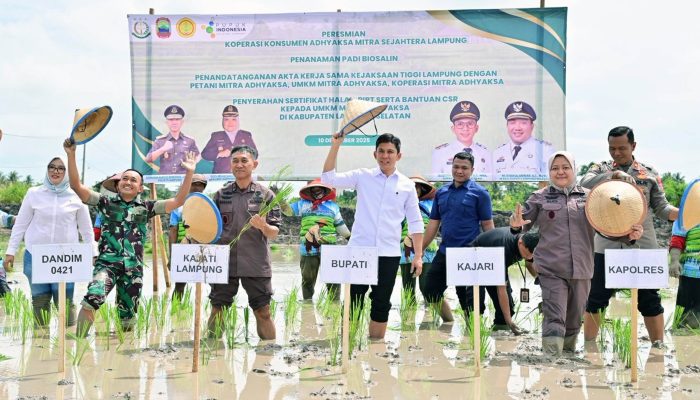 Pemkab Lampung Selatan dan Kejati Lampung Dorong Ketahanan Pangan lewat Ekspansi Padi Biosalin di Sragi