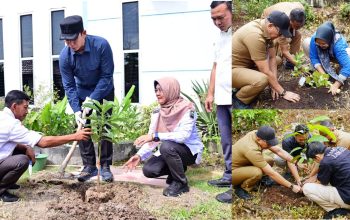 5.792 PPPK Paruh Waktu Lampung Selatan Tanam Pohon Serentak