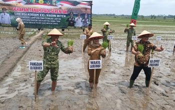 Tanam Padi Serentak di Lampung Timur, Kodam XXI/Radin Inten Dorong Lompatan Produksi Pangan