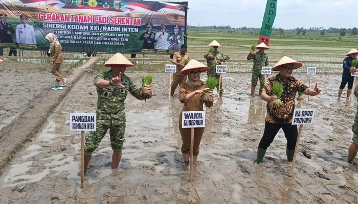 Tanam Padi Serentak di Lampung Timur, Kodam XXI/Radin Inten Dorong Lompatan Produksi Pangan