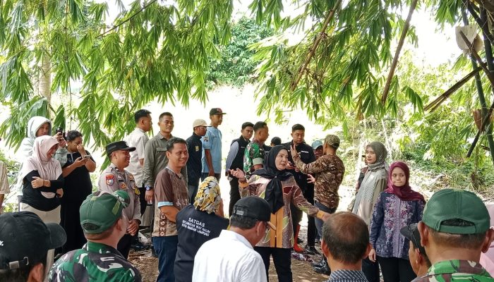Walikota Eva Dwiana Tinjau Talud Roboh di Sungai Way Awi, Gandeng Satgas TNI Percepat Penanganan