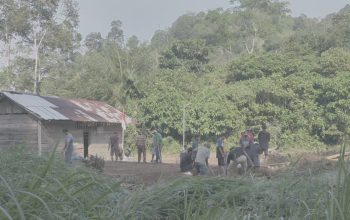 Setelah Viral, Sekolah SD Satu Atap di Tanggamus Akhirnya Dibangun Permanen