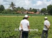 Berpraktek Hilirisasi di Lampung Menuju Industri Manufaktur