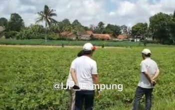 Berpraktek Hilirisasi di Lampung Menuju Industri Manufaktur