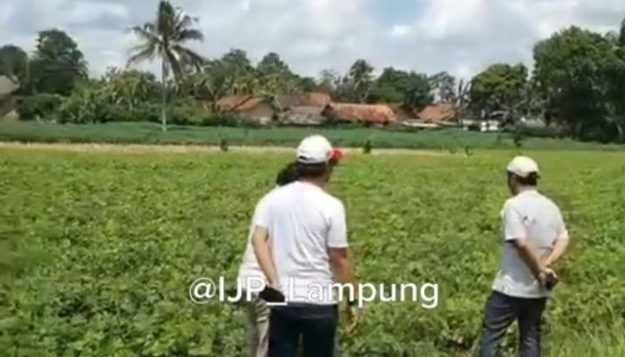 Berpraktek Hilirisasi di Lampung Menuju Industri Manufaktur