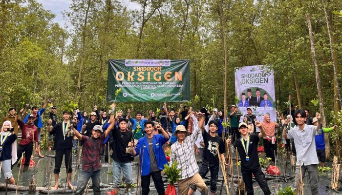 PKC PMII Lampung dan Cabang Se-Lampung Tanam 5.000 Bibit Mangrove