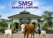 Iduladha 1447 H, SMSI Bandar Lampung Salurkan 1 Sapi dan 2 Kambing untuk Anggota dan Warga