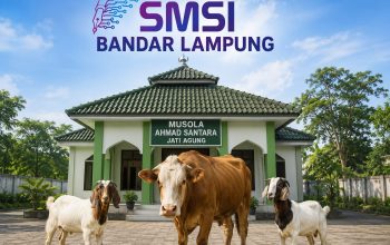 Iduladha 1447 H, SMSI Bandar Lampung Salurkan 1 Sapi dan 2 Kambing untuk Anggota dan Warga
