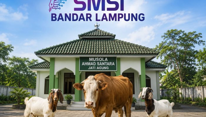 Iduladha 1447 H, SMSI Bandar Lampung Salurkan 1 Sapi dan 2 Kambing untuk Anggota dan Warga
