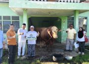 PWNU Lampung Sembelih 10 Sapi dan 2 Kambing, Bagikan 1.328 Paket Kurban