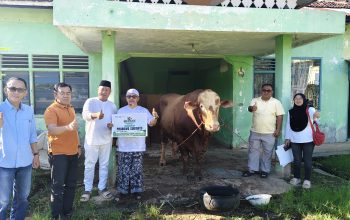 PWNU Lampung Sembelih 10 Sapi dan 2 Kambing, Bagikan 1.328 Paket Kurban