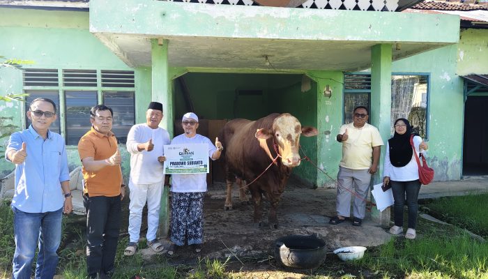 PWNU Lampung Sembelih 10 Sapi dan 2 Kambing, Bagikan 1.328 Paket Kurban