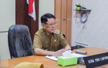 Pemprov Lampung Terima Sapi Kurban Bantuan Presiden untuk Iduladha 2026