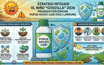 Pemprov Lampung Matangkan Strategi Antisipasi El Nino untuk Jaga Produktivitas Pertanian