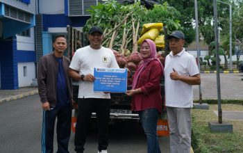 Pelindo Regional 2 Panjang Tanam 250 Bibit Pohon untuk Dukung Greenbelting dan Penyerapan Karbon