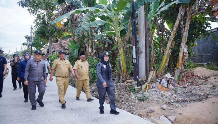 Walikota Eva Dwiana Tinjau Hasil Perbaikan Jalan Wala Kuba di Way Laga