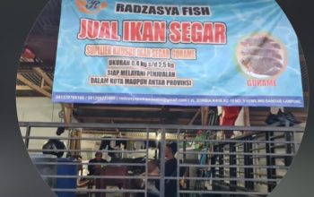 Radzasya Fish di Kemiling Sediakan Ikan Segar, Bisa Diantar ke Rumah