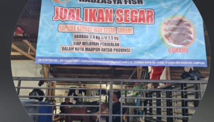 Radzasya Fish di Kemiling Sediakan Ikan Segar, Bisa Diantar ke Rumah