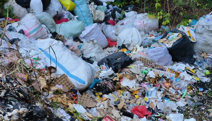 Sampah Menumpuk di Galian Tol Karang Sari, Warga Desak Pemkab Lampung Selatan Turun Tangan