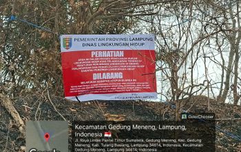 Lahan Perkebunan PT SIL Disegel DLH Lampung, Ini Alasannya
